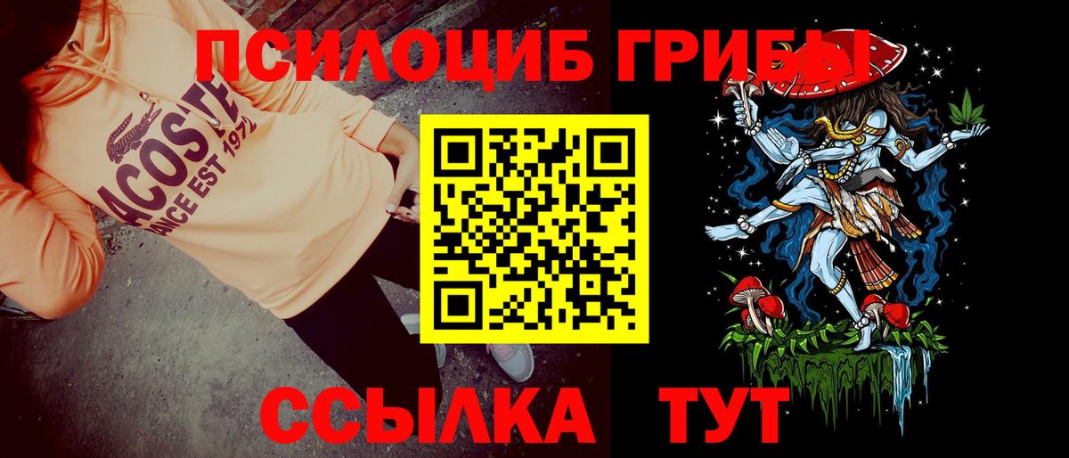 Псилоцибиновые грибы GOLDEN TEACHER Железноводск